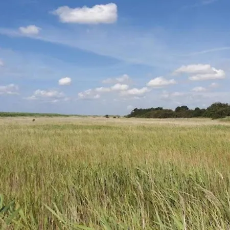 Seaside Serenity In Faldsled-by Traum Millinge