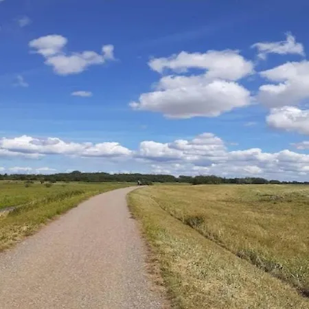 Seaside Serenity In Faldsled-by Traum Millinge