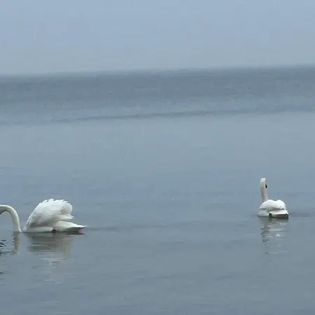 Seaside Serenity In Faldsled-by Traum